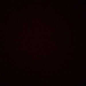 Meet your Posher, Cheyenne